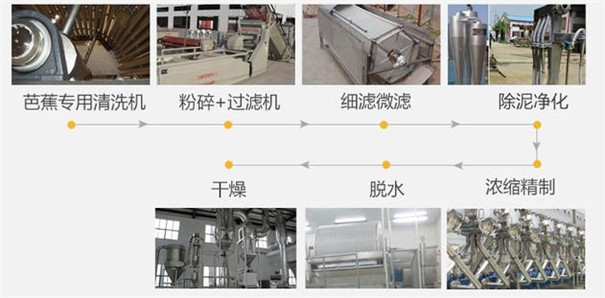 芭蕉芋淀粉加工設備