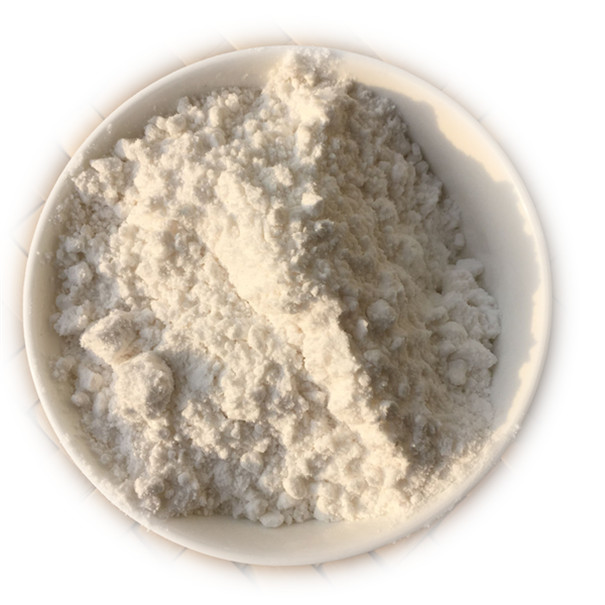 影響芭蕉芋淀粉設備價格的因素